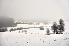 DSC00192